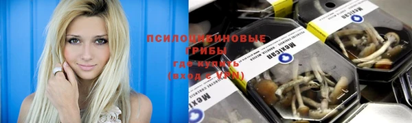 мдпв Дубовка