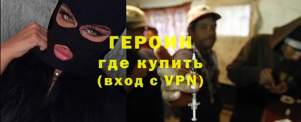 индика Тавда