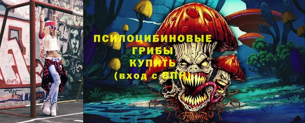 хмурый Верхний Тагил