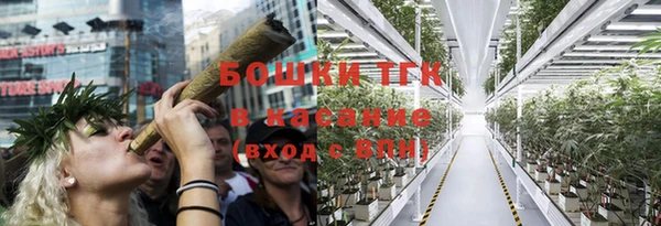 хмурый Верхний Тагил