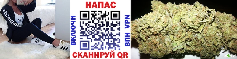 Канабис план Гвардейск